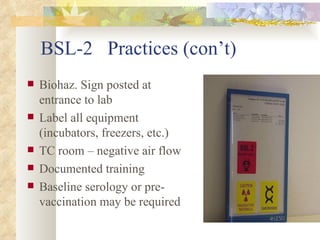 BSL-2  Practices (con’t) Biohaz. Sign posted at entrance to lab Label all equipment (incubators, freezers, etc.) TC room – negative air flow Documented training Baseline serology or pre-vaccination may be required 