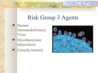 Risk Group 3 Agents Human Immunodeficiency Virus Mycobacterium tuberculosis Coxiella burnetii 