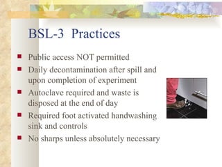 BSL-3  Practices Public access NOT permitted Daily decontamination after spill and upon completion of experiment Autoclave required and waste is disposed at the end of day Required foot activated handwashing sink and controls No sharps unless absolutely necessary 
