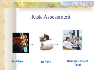 Risk Assessment In-Vitro In-Vivo Human Clinical Trial 