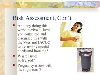 Risk Assessment, Con’t Are they doing this work in-vivo?  Have you consulted and discussed this with the Vets and IACUC to determine special needs and housing? Waste issues addressed? Pregnancy issues with the organisms? 