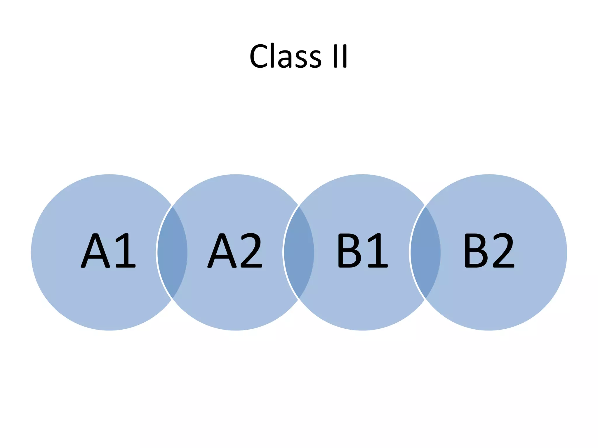 Class II
A1 A2 B1 B2
 