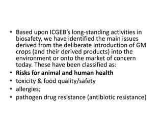 • Based upon ICGEB’s long-standing activities in
biosafety, we have identified the main issues
derived from the deliberate introduction of GM
crops (and their derived products) into the
environment or onto the market of concern
today. These have been classified as:
• Risks for animal and human health
• toxicity & food quality/safety
• allergies;
• pathogen drug resistance (antibiotic resistance)
 