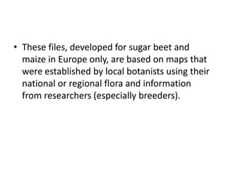 • These files, developed for sugar beet and
maize in Europe only, are based on maps that
were established by local botanists using their
national or regional flora and information
from researchers (especially breeders).
 