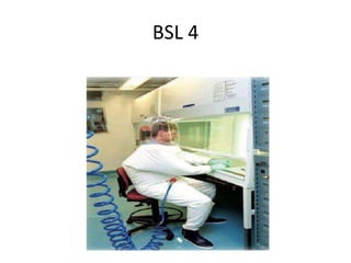BSL 4
 
