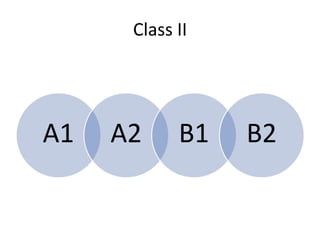 Class II
A1 A2 B1 B2
 