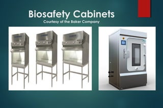 Biosafety Cabinets
Courtesy of the Baker Company
 