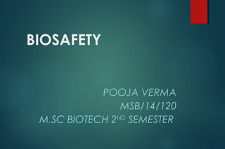 BIOSAFETY
POOJA VERMA
MSB/14/120
M.SC BIOTECH 2ND
SEMESTER
 