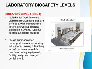 Biosafety-and-Biosecurity-in-Molbio.pptx