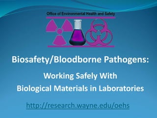 Biosafety/Bloodborne Pathogens:
Working Safely With
Biological Materials in Laboratories
http://research.wayne.edu/oehs
 