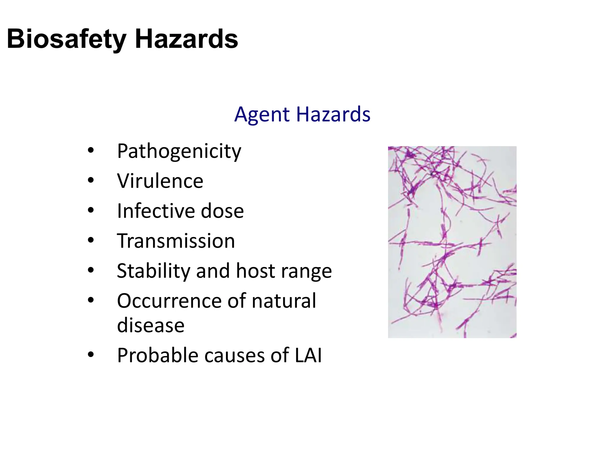 Agent Hazards
• Pathogenicity
• Virulence
• Infective dose
• Transmission
• Stability and host range
• Occurrence of natural
disease
• Probable causes of LAI
Biosafety Hazards
 