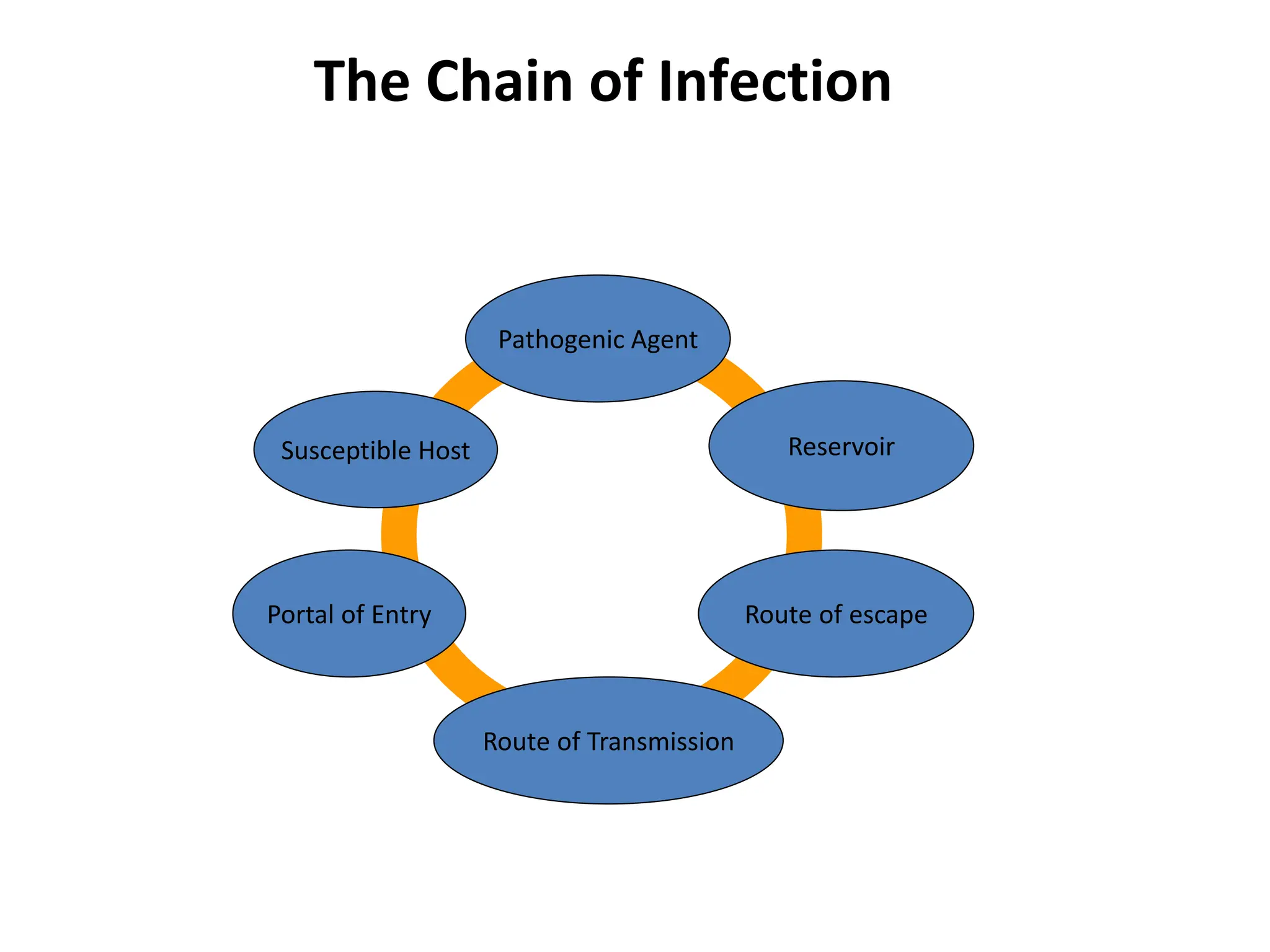The Chain of Infection
Route of Transmission
Pathogenic Agent
Portal of Entry
Reservoir
Susceptible Host
Route of escape
 