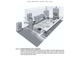 Laboratory Risk Level Biosafety and biosecurity biosafety levels | PPTX
