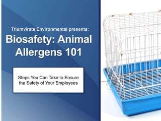 Biosafety: Animal
Allergens 101
Triumvirate Environmental presents:
Steps You Can Take to Ensure
the Safety of Your Employees
 