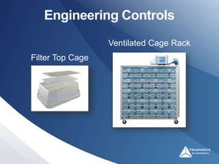 Biosafety: Animal Allergens | PPTX