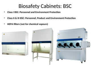 Comprehensive Guide to Biosafety Cabinets: Types, Standards, and Proper ...
