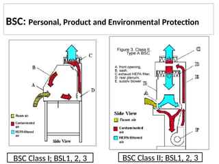 Comprehensive Guide to Biosafety Cabinets: Types, Standards, and Proper ...