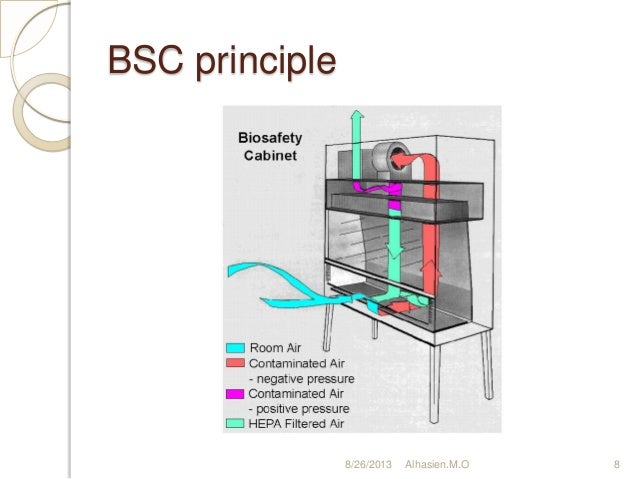 Biosafety Cabinets Medical Microbiology Biosafety
