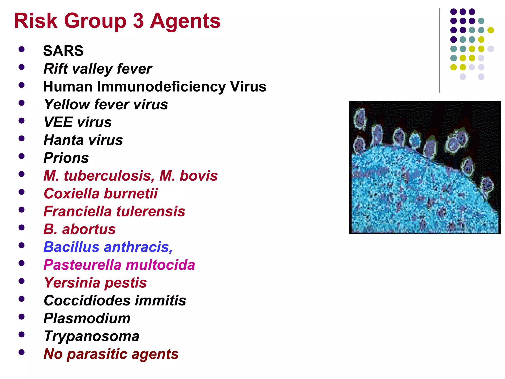 Biosafety Levels, Biological Safety Cabinets and Biosafety Laboratory ...