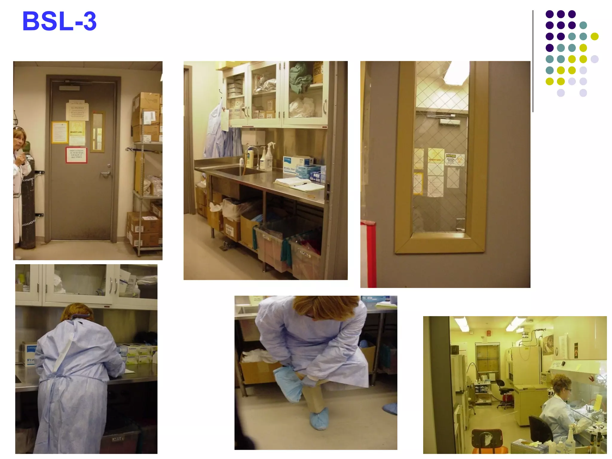 Biosafety Levels, Biological Safety Cabinets and Biosafety Laboratory ...