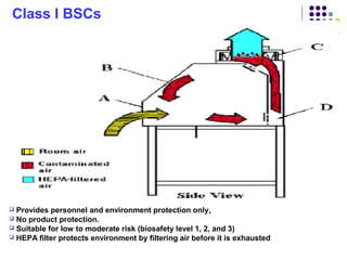 Biosafety Levels, Biological Safety Cabinets and Biosafety Laboratory ...