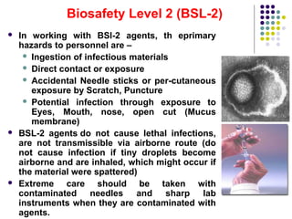 Biosafety Levels, Biological Safety Cabinets and Biosafety Laboratory Construction