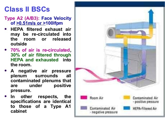 Biosafety Levels Biological Safety Cabinets And Biosafety Laboratory