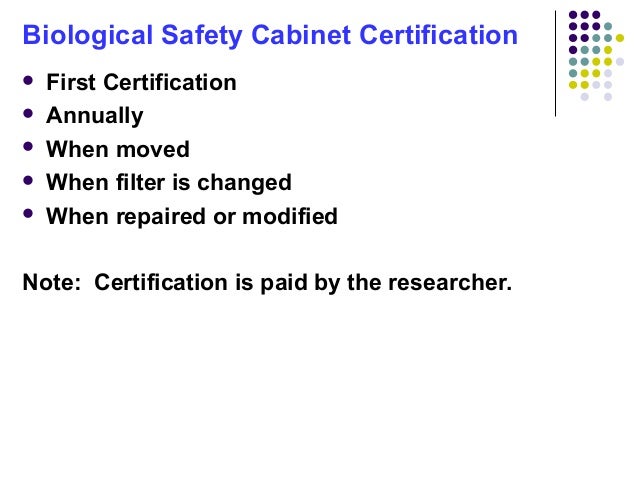 Biosafety Levels Biological Safety Cabinets And Biosafety Laboratory
