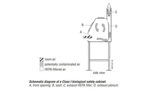 Various Classes of Biosafety Cabinets (BSC) | PPTX