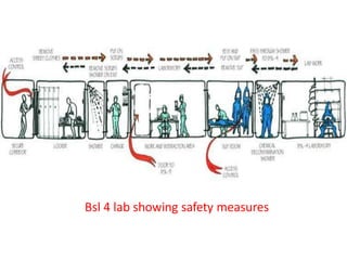 Bsl 4 lab showing safety measures
 