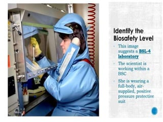 Biosafety level 1.pptx