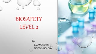 BIOSAFETY
LEVEL 2
BY
S.GANGASHRI,
BIOTECHNOLOGY
 
