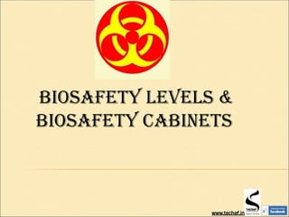Biosafety LeVeLs &
Biosafety CaBinets
 