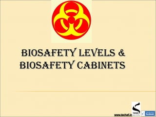 Biosafety LeVeLs &Biosafety LeVeLs &
Biosafety CaBinetsBiosafety CaBinets
 