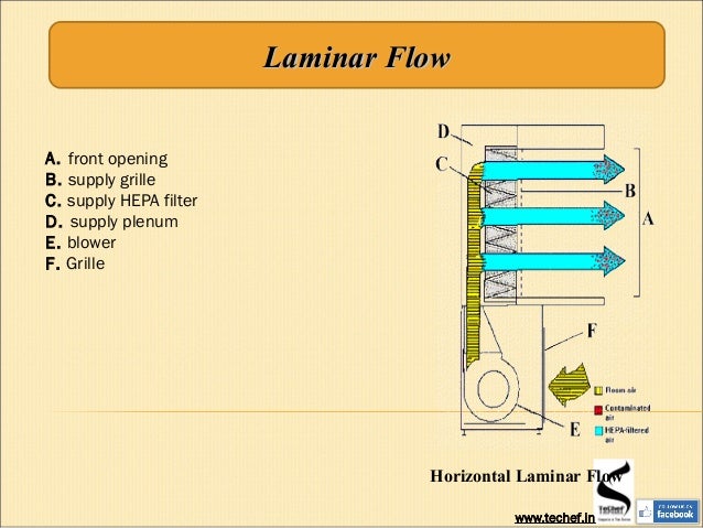 Biosafety Level And Biosafety Cabinets