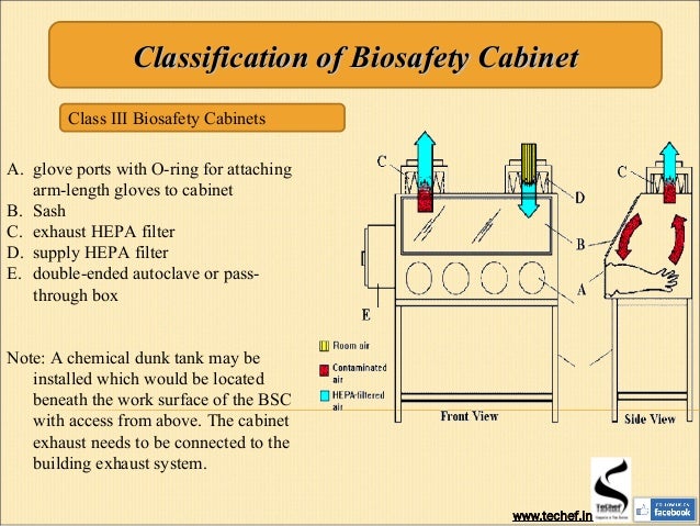 Biosafety Level And Biosafety Cabinets