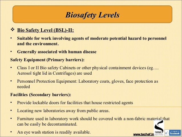 biosafety cabinet class ppt cabinets matttroy bsl levels chart