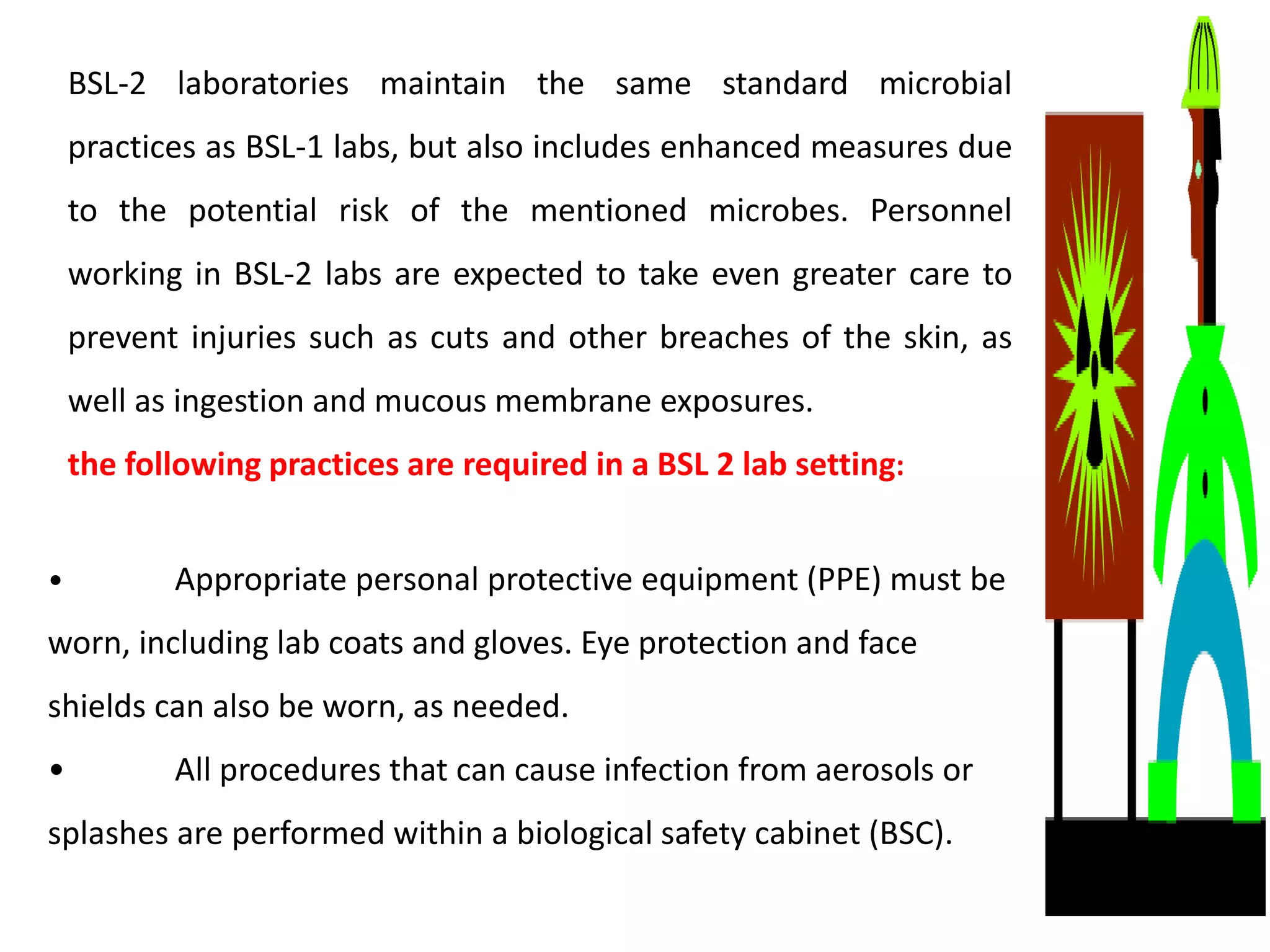 BSL-2 laboratories maintain the same standard microbial
practices as BSL-1 labs, but also includes enhanced measures due
to the potential risk of the mentioned microbes. Personnel
working in BSL-2 labs are expected to take even greater care to
prevent injuries such as cuts and other breaches of the skin, as
well as ingestion and mucous membrane exposures.
the following practices are required in a BSL 2 lab setting:
• Appropriate personal protective equipment (PPE) must be
worn, including lab coats and gloves. Eye protection and face
shields can also be worn, as needed.
• All procedures that can cause infection from aerosols or
splashes are performed within a biological safety cabinet (BSC).
 