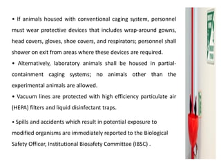 • If animals housed with conventional caging system, personnel
must wear protective devices that includes wrap-around gowns,
head covers, gloves, shoe covers, and respirators; personnel shall
shower on exit from areas where these devices are required.
• Alternatively, laboratory animals shall be housed in partial-
containment caging systems; no animals other than the
experimental animals are allowed.
• Vacuum lines are protected with high efficiency particulate air
(HEPA) filters and liquid disinfectant traps.
• Spills and accidents which result in potential exposure to
modified organisms are immediately reported to the Biological
Safety Officer, Institutional Biosafety Committee (IBSC) .
 
