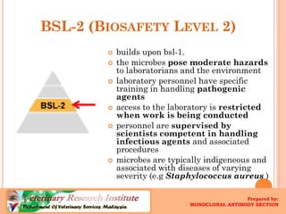 BSL-2 (BIOSAFETYLEVEL2) 
builds upon bsl-1. 
the microbes pose moderate hazardsto laboratoriansand the environment 
laboratory personnel have specific training in handling pathogenic agents 
access to the laboratory is restricted when work is being conducted 
personnel are supervised by scientists competent in handling infectious agents and associated procedures 
microbes are typically indigeneousand associated with diseases of varying severity (e.gStaphylococcus aureus) 
Prepared by: 
MONOCLONAL ANTIBODY SECTION  