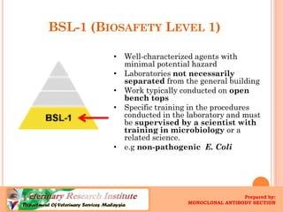BSL-1 (BIOSAFETYLEVEL1) 
•Well-characterized agents with minimal potential hazard 
•Laboratories not necessarilyseparated ...