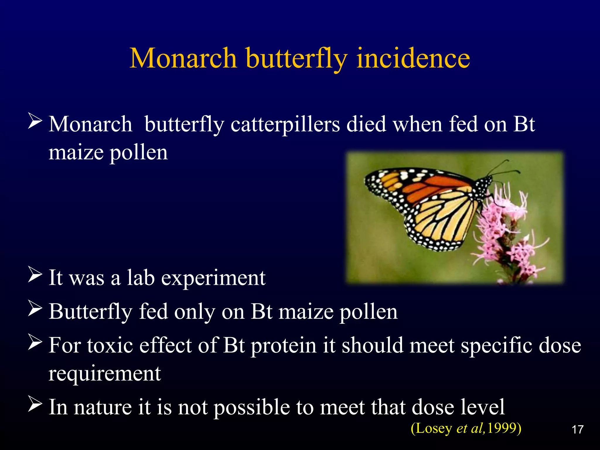 Monarch butterfly incidence
 Monarch butterfly catterpillers died when fed on Bt
maize pollen
 It was a lab experiment
 Butterfly fed only on Bt maize pollen
 For toxic effect of Bt protein it should meet specific dose
requirement
 In nature it is not possible to meet that dose level
17(Losey et al,1999)
 
