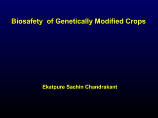 Biosafety of Genetically Modified CropsBiosafety of Genetically Modified Crops
Ekatpure Sachin Chandrakant
 