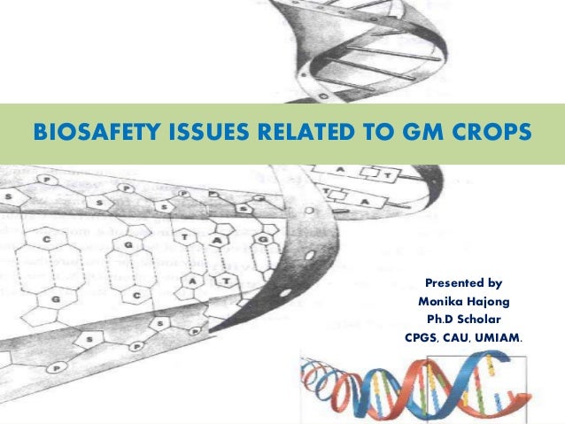 Biosafety Issues Related To Gm Crops