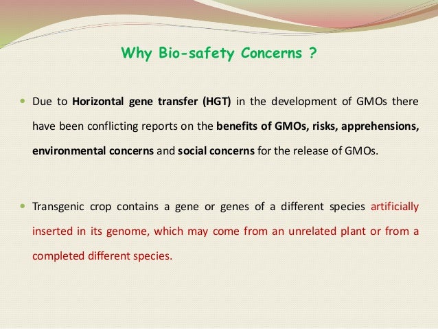 Biosafety issues in gmo