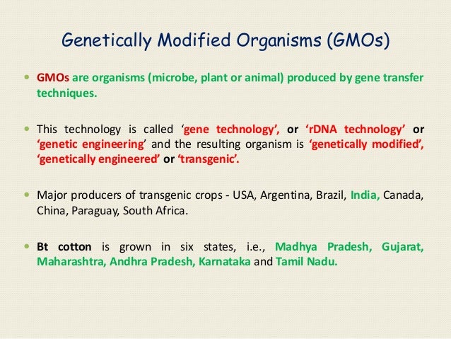 Biosafety Issues Related To Gm Crops