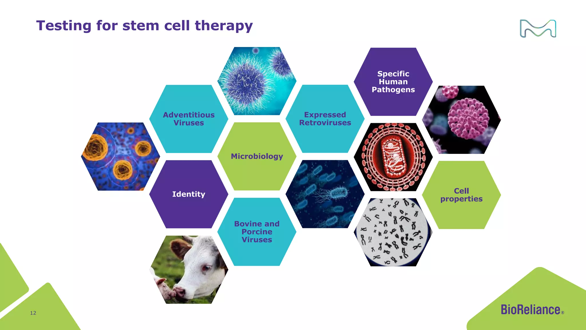 Cell Identity Testing Biosafety Testing Solutions for Cell & Gene Therapy | PDF