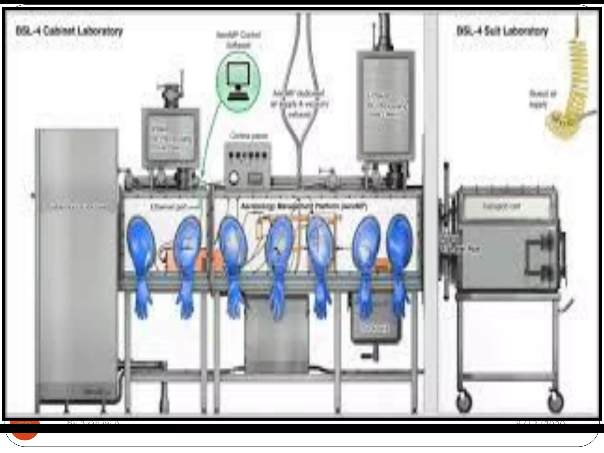 8/13/2020ByAzanawA53
 