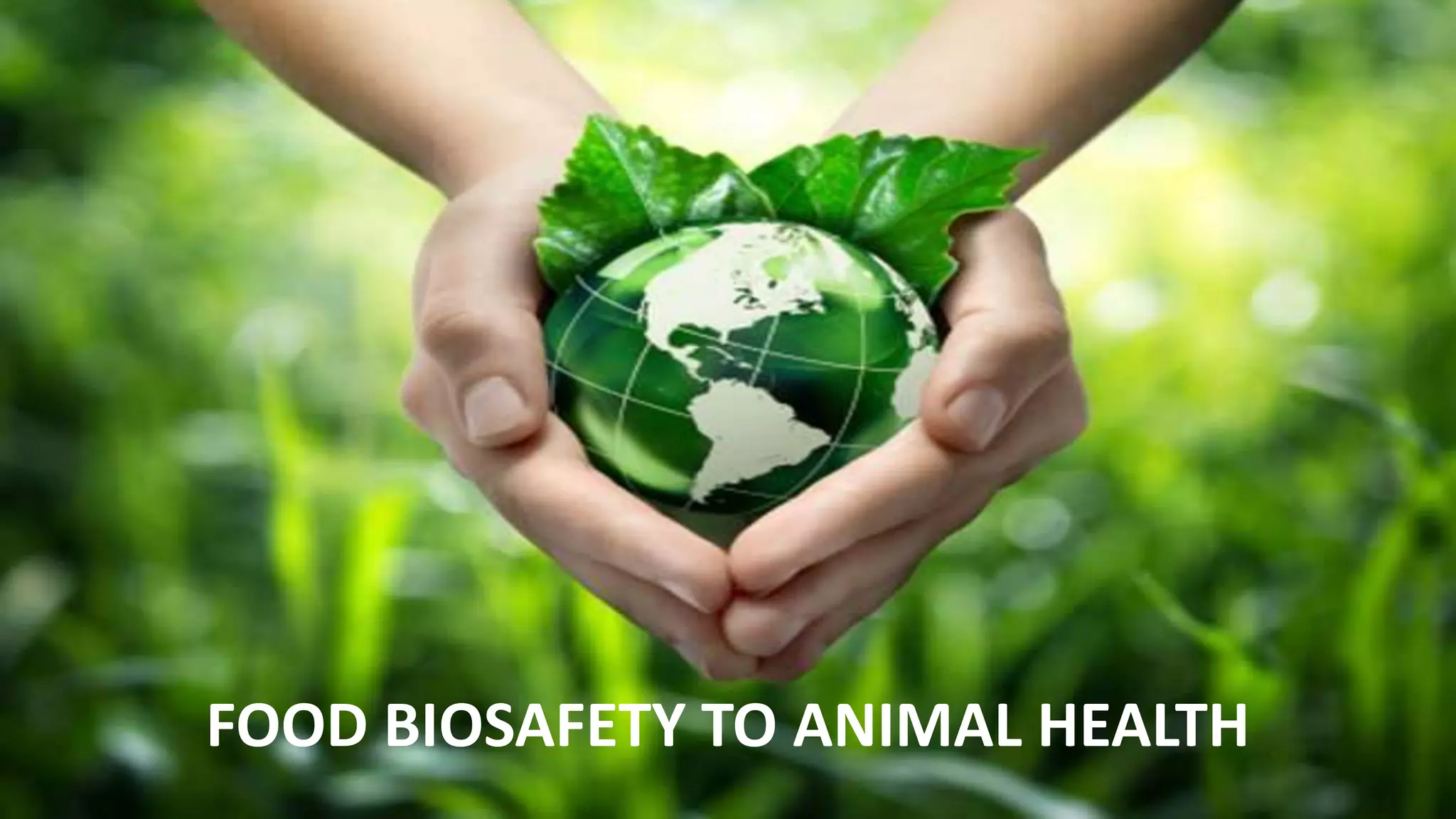 FOOD BIOSAFETY TO ANIMAL HEALTH
 