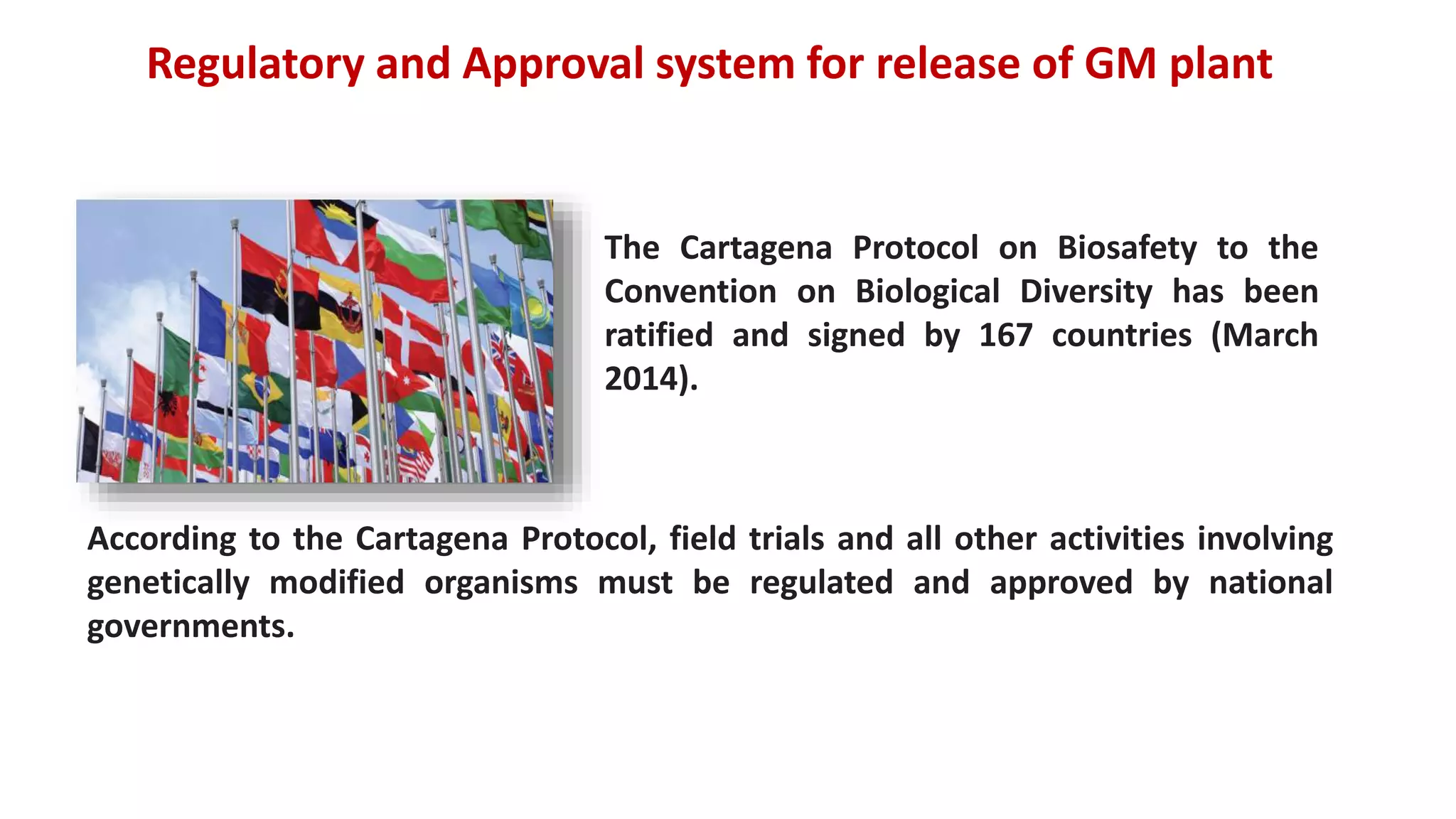 The Cartagena Protocol on Biosafety to the
Convention on Biological Diversity has been
ratified and signed by 167 countries (March
2014).
Regulatory and Approval system for release of GM plant
According to the Cartagena Protocol, field trials and all other activities involving
genetically modified organisms must be regulated and approved by national
governments.
 